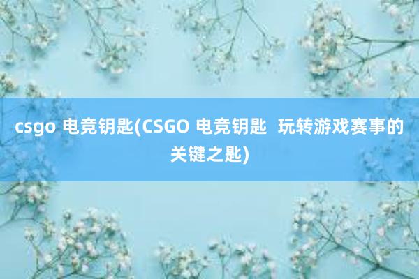 csgo 电竞钥匙(CSGO 电竞钥匙  玩转游戏赛事的关键之匙)