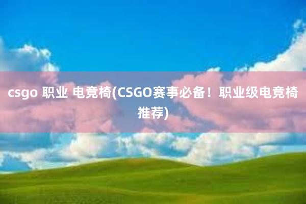 csgo 职业 电竞椅(CSGO赛事必备！职业级电竞椅推荐)