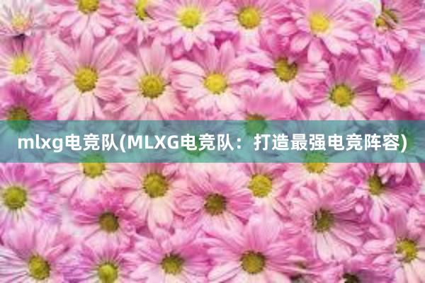 mlxg电竞队(MLXG电竞队：打造最强电竞阵容)