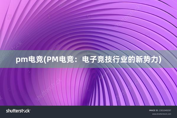 pm电竞(PM电竞：电子竞技行业的新势力)