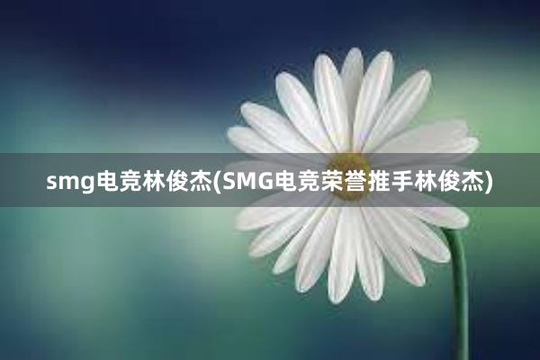 smg电竞林俊杰(SMG电竞荣誉推手林俊杰)