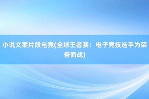 小说文案片段电竞(全球王者赛：电子竞技选手为荣誉而战)