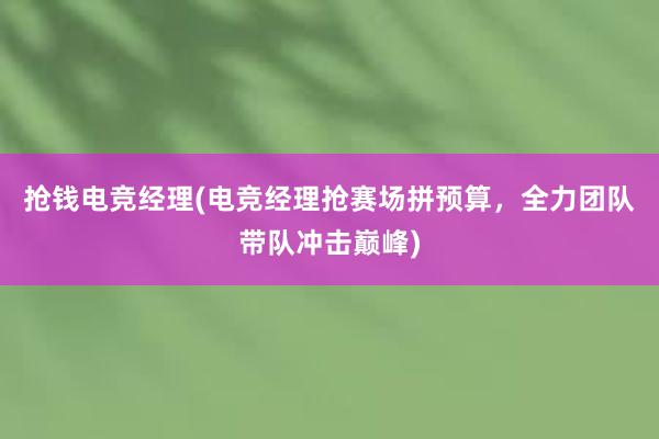 抢钱电竞经理(电竞经理抢赛场拼预算，全力团队带队冲击巅峰)