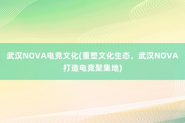 武汉NOVA电竞文化(重塑文化生态，武汉NOVA打造电竞聚集地)