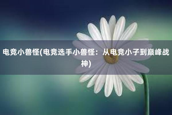 电竞小兽怪(电竞选手小兽怪：从电竞小子到巅峰战神)