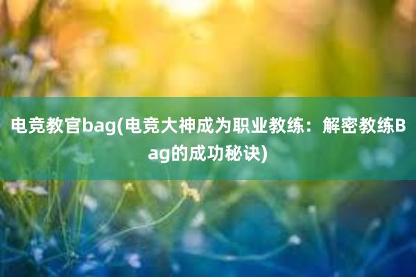 电竞教官bag(电竞大神成为职业教练：解密教练Bag的成功秘诀)