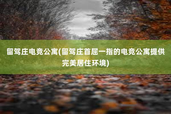 留驾庄电竞公寓(留驾庄首屈一指的电竞公寓提供完美居住环境)