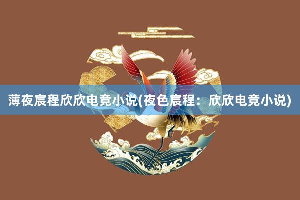 薄夜宸程欣欣电竞小说(夜色宸程：欣欣电竞小说)