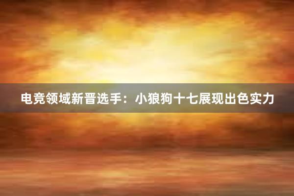 电竞领域新晋选手：小狼狗十七展现出色实力