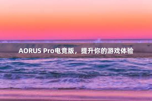 AORUS Pro电竞版，提升你的游戏体验