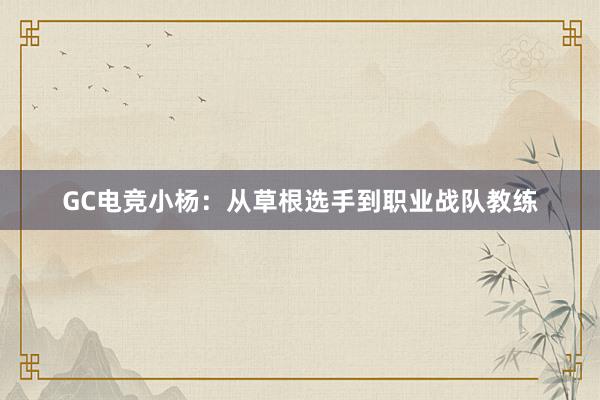 GC电竞小杨：从草根选手到职业战队教练