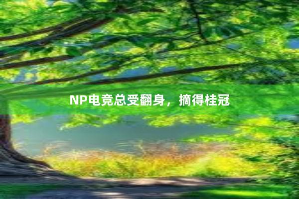 NP电竞总受翻身，摘得桂冠