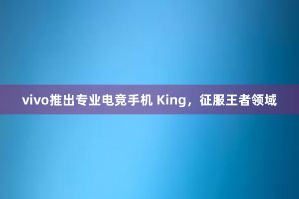 vivo推出专业电竞手机 King，征服王者领域