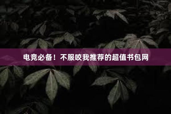 电竞必备！不服咬我推荐的超值书包网