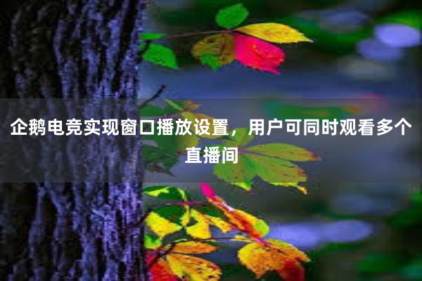 企鹅电竞实现窗口播放设置，用户可同时观看多个直播间