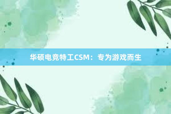 华硕电竞特工CSM：专为游戏而生