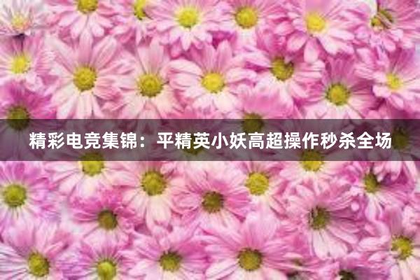 精彩电竞集锦：平精英小妖高超操作秒杀全场