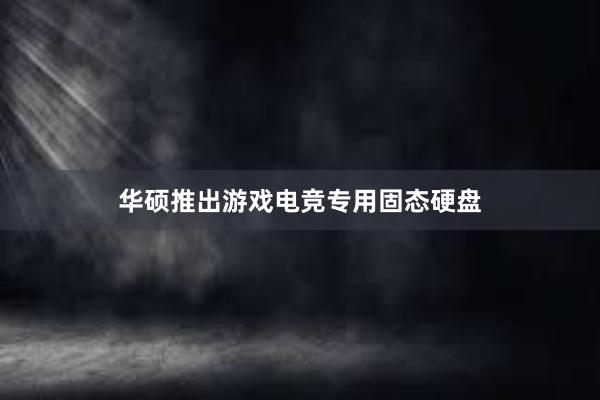 华硕推出游戏电竞专用固态硬盘