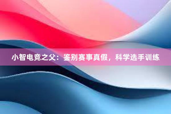 小智电竞之父：鉴别赛事真假，科学选手训练