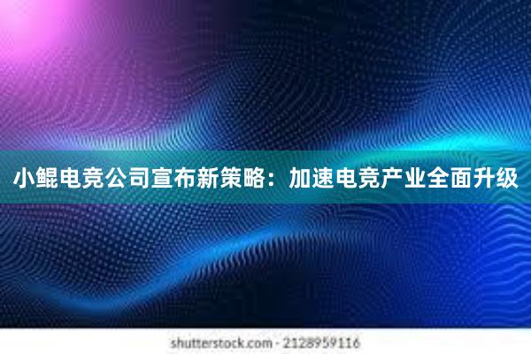 小鲲电竞公司宣布新策略：加速电竞产业全面升级