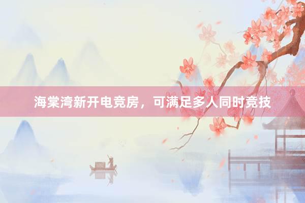 海棠湾新开电竞房，可满足多人同时竞技