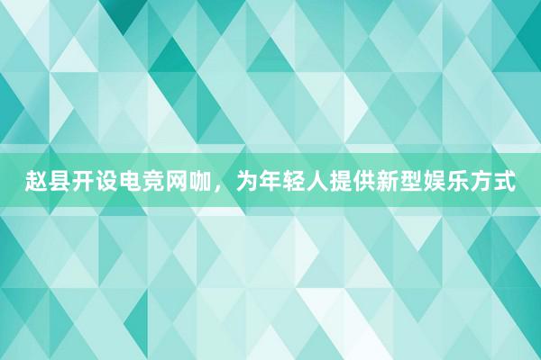 赵县开设电竞网咖，为年轻人提供新型娱乐方式