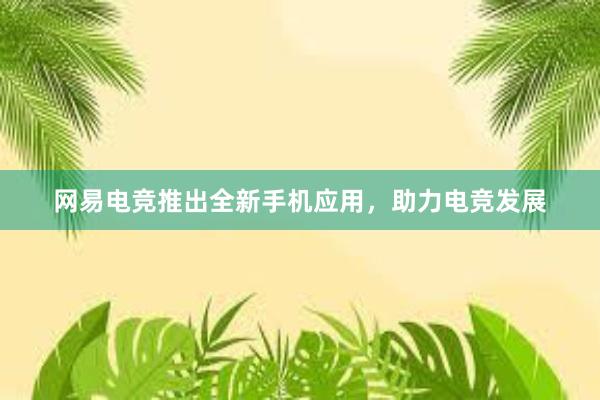 网易电竞推出全新手机应用，助力电竞发展