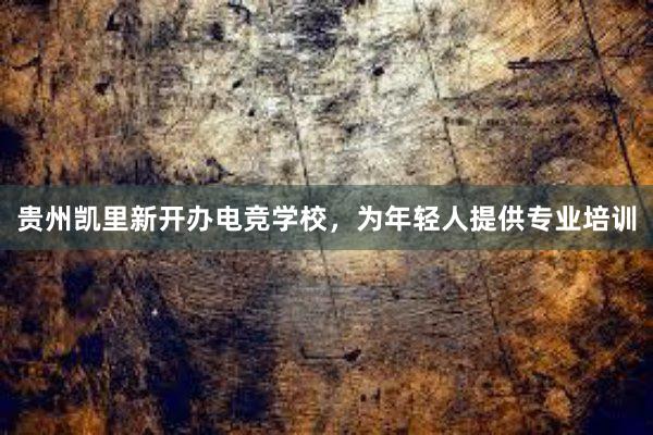 贵州凯里新开办电竞学校，为年轻人提供专业培训