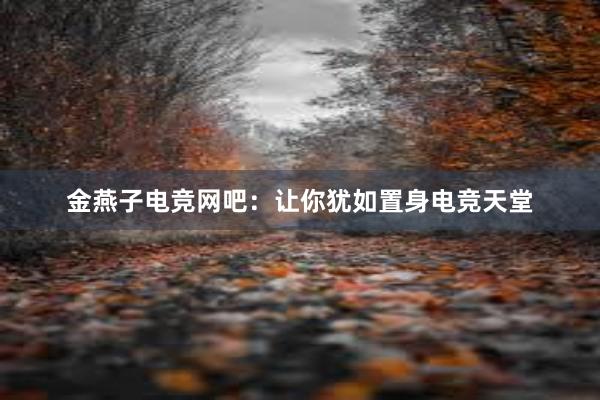 金燕子电竞网吧：让你犹如置身电竞天堂