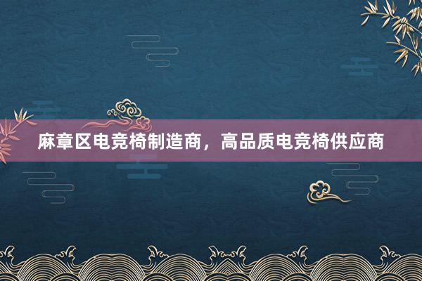 麻章区电竞椅制造商，高品质电竞椅供应商